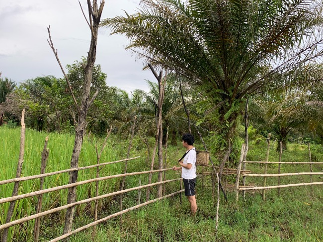 Photo essay: Human-Nature connections